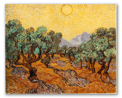 Olive Trees with yelow sky